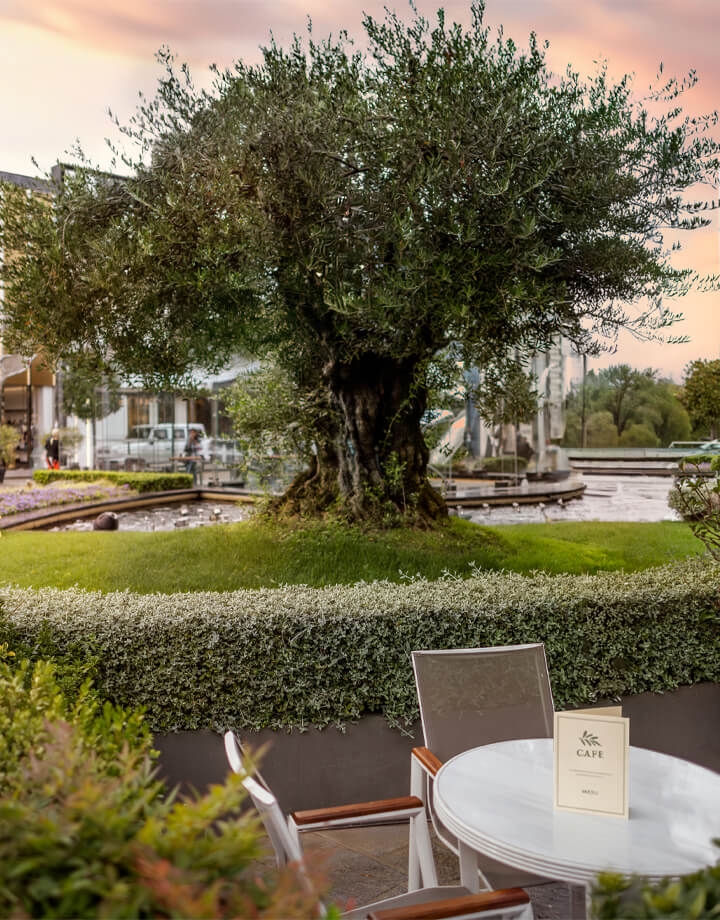 SÜRDÜRÜLEBİLİRLİK