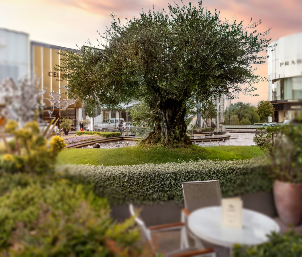 Sürdürülebilirlik Politikamız