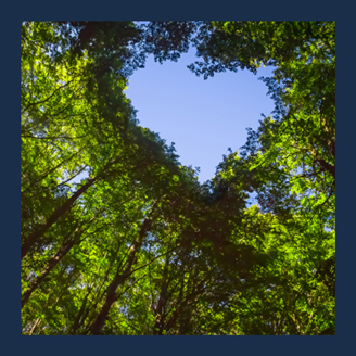 İstinyePark İstanbul Karbon Ayak İzini Sıfırlayacak!